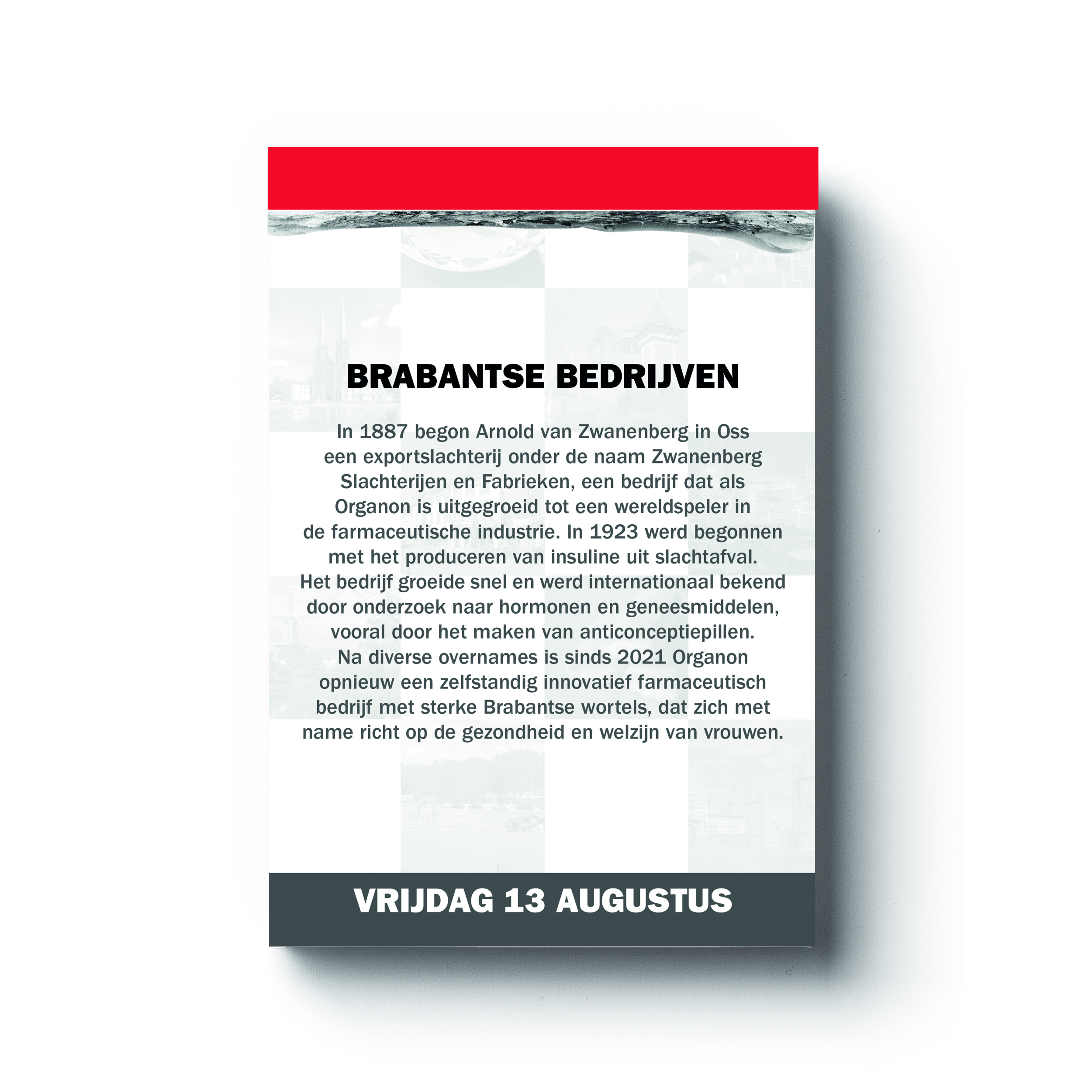 600x600_Trots op Brabant inkijkjes retailers en bedrijven3